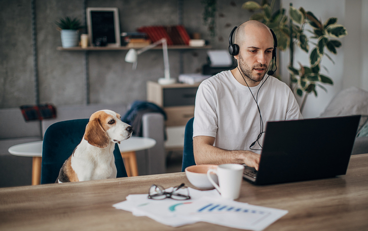 mann mit hund am PC